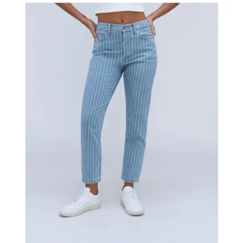 Everlane The 90s Cheeky Straight Ankle Jean Pinstripe Blue Light 25 Ankle